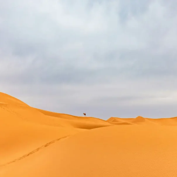 Ruta 4 Dias desde Marrakech al desierto Merzouga