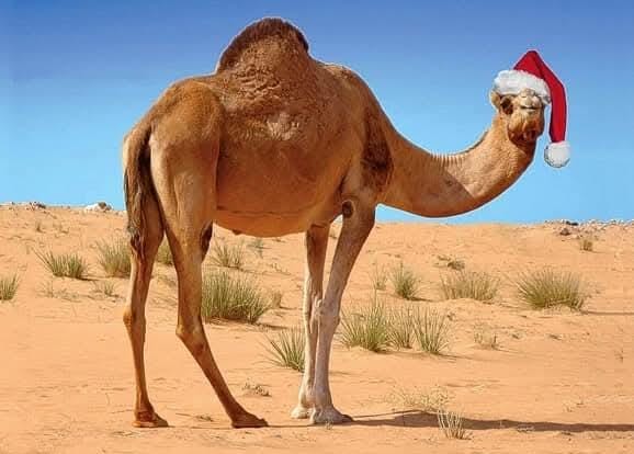 Navidad en Marruecos
