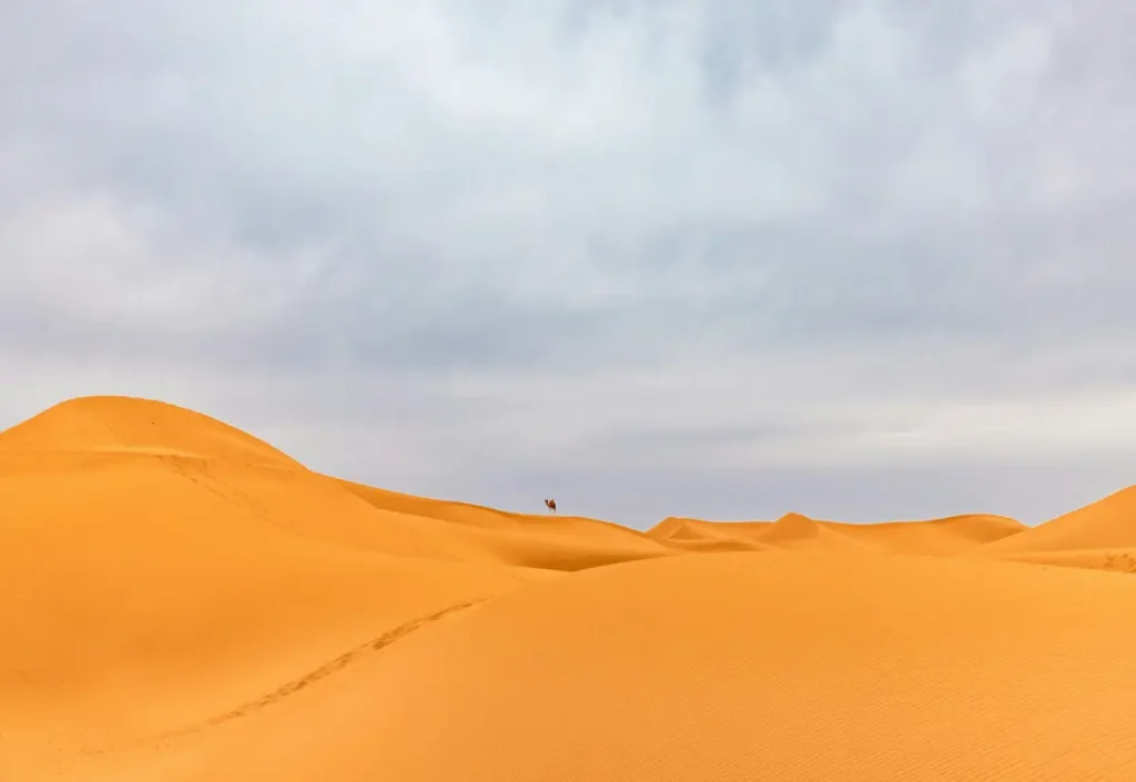 Itinerario 4 giorni da Marrakech al deserto