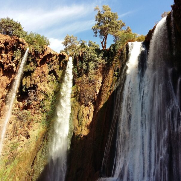 Excursión desde Marrakech a Ouzoud