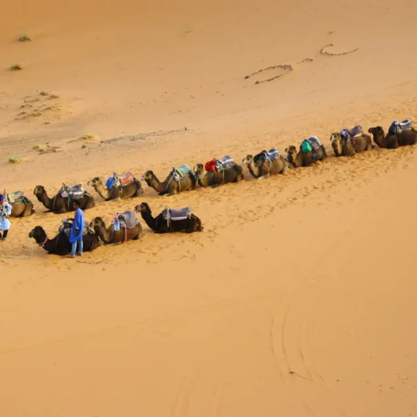 Overnight Camel Trek in Merzouga Desert