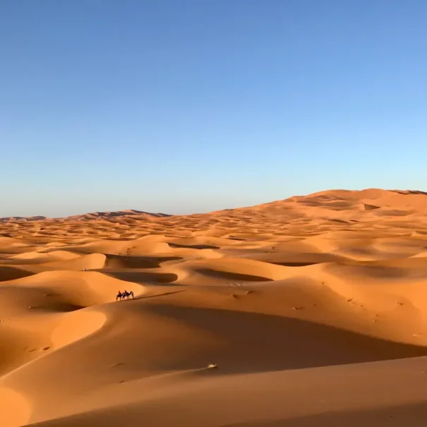 6 Days Desert Tour from Marrakech